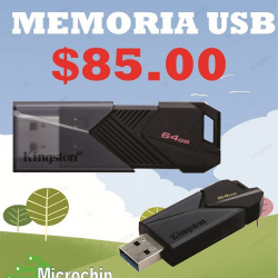 Memoria USB de 64GB Kingston DTXON/64GB