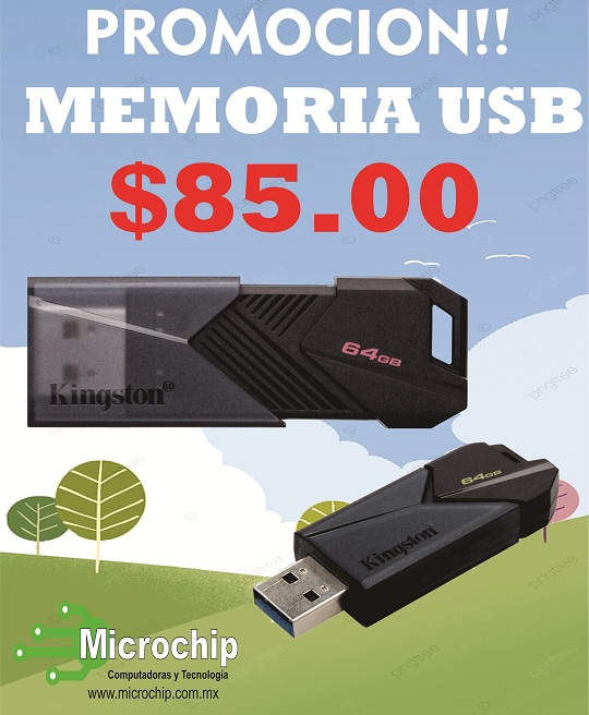 Memoria USB de 64GB Kingston DTXON/64GB