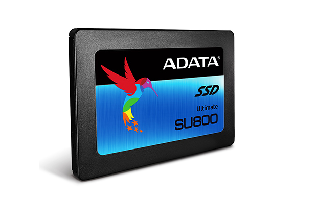 SSD ADATA SU800
