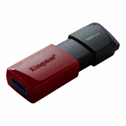 Memoria USB Kingston Technology DTXM/128GB